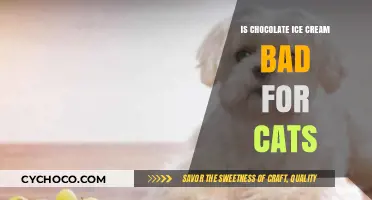 Is Chocolate Ice Cream Safe for Cats? Risks Explained