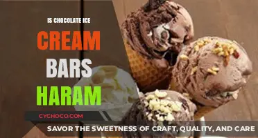 Exploring the Halal Status of Chocolate Ice Cream Bars