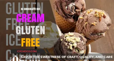 Is Chocolate Ice Cream Gluten-Free? A Sweet and Safe Guide