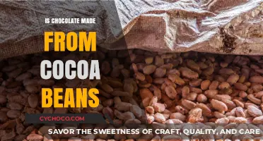 Is Chocolate Made From Cocoa Beans? Unraveling the Sweet Truth