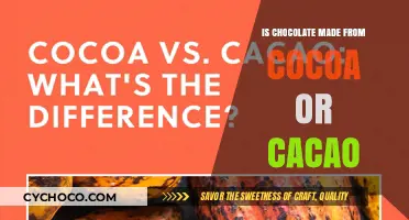 Decoding the Delicious: Cocoa vs Cacao in Chocolate Making