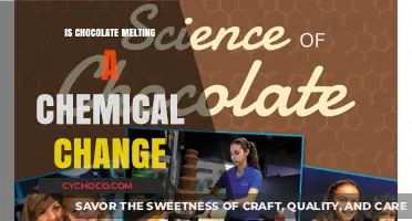Is Chocolate Melting a Chemical Change? Unraveling the Science Behind It
