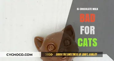 The Sweet Truth: Is Chocolate Milk Safe for Cats?