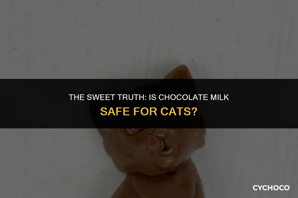 is chocolate milk bad for cats