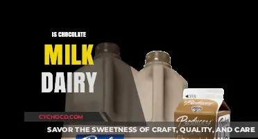 Decoding Dairy: The Truth About Chocolate Milk