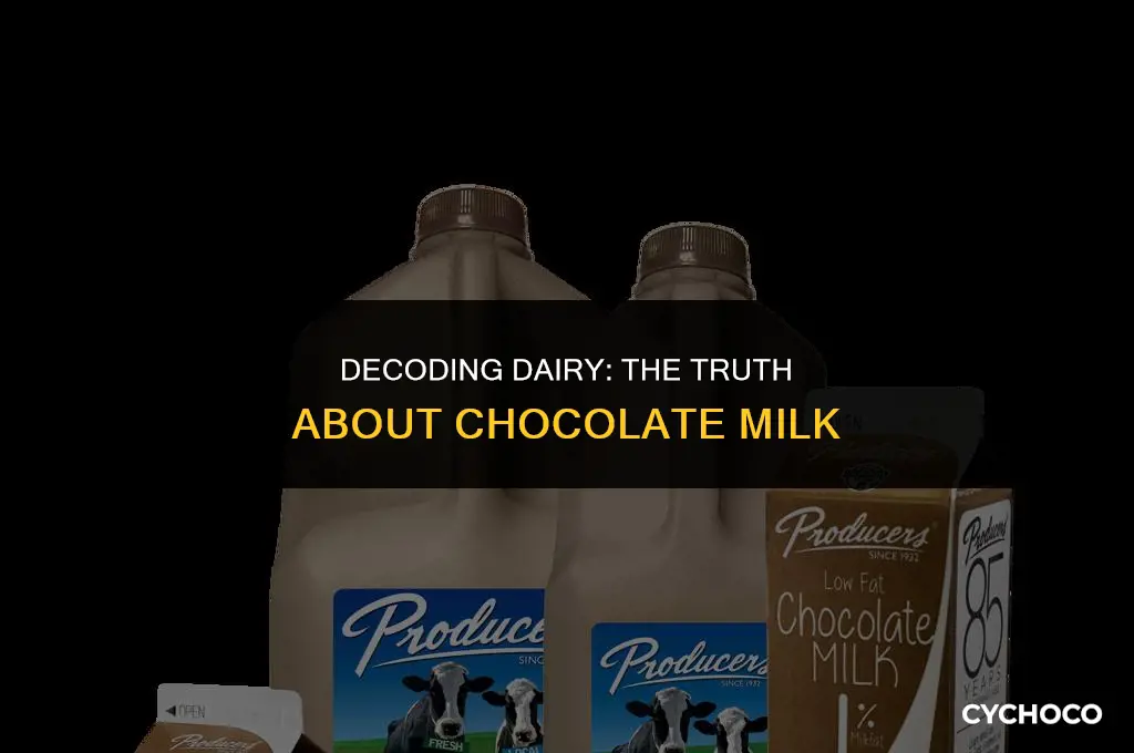 is chocolate milk dairy