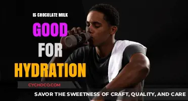 Chocolate Milk: A Delicious Hydration Solution or Just a Myth?