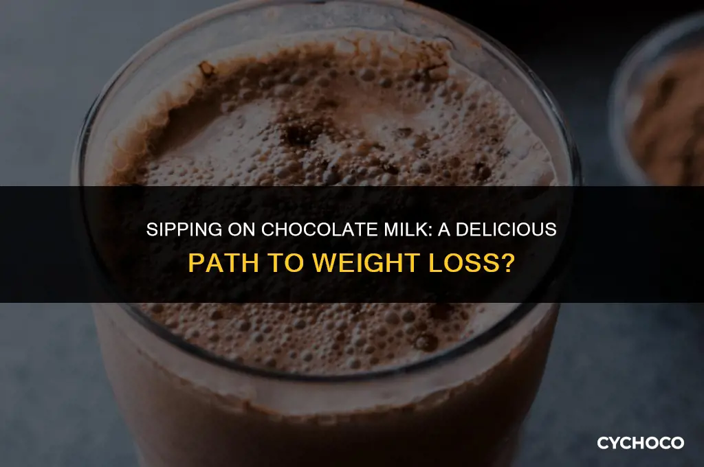 is chocolate milk good for weight loss