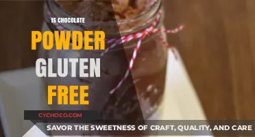 Decadent and Safe: Exploring the Gluten-Free World of Chocolate Powder