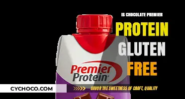 Is Chocolate Premier Protein Gluten-Free? A Complete Guide