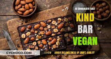 Decoding the Ingredients: Is Chocolate Salt Kind Bar Vegan?