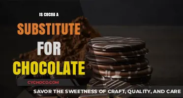 Exploring the Rich World of Cocoa: A Chocolate Substitute?