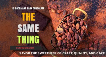 Unraveling the Myths: Cocoa vs. Dark Chocolate Explained