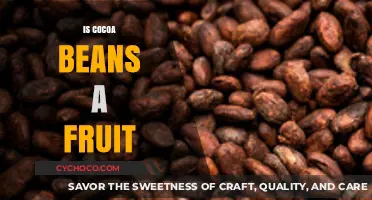 Are Cocoa Beans Actually a Fruit? Unraveling the Botanical Mystery