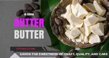 The Sweet Truth: Is Cocoa Butter Really Butter?
