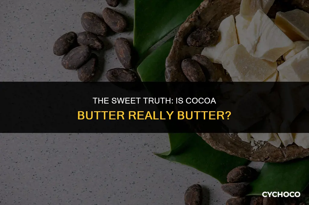 is cocoa butter butter