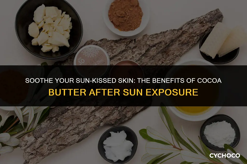 is cocoa butter good for after sun