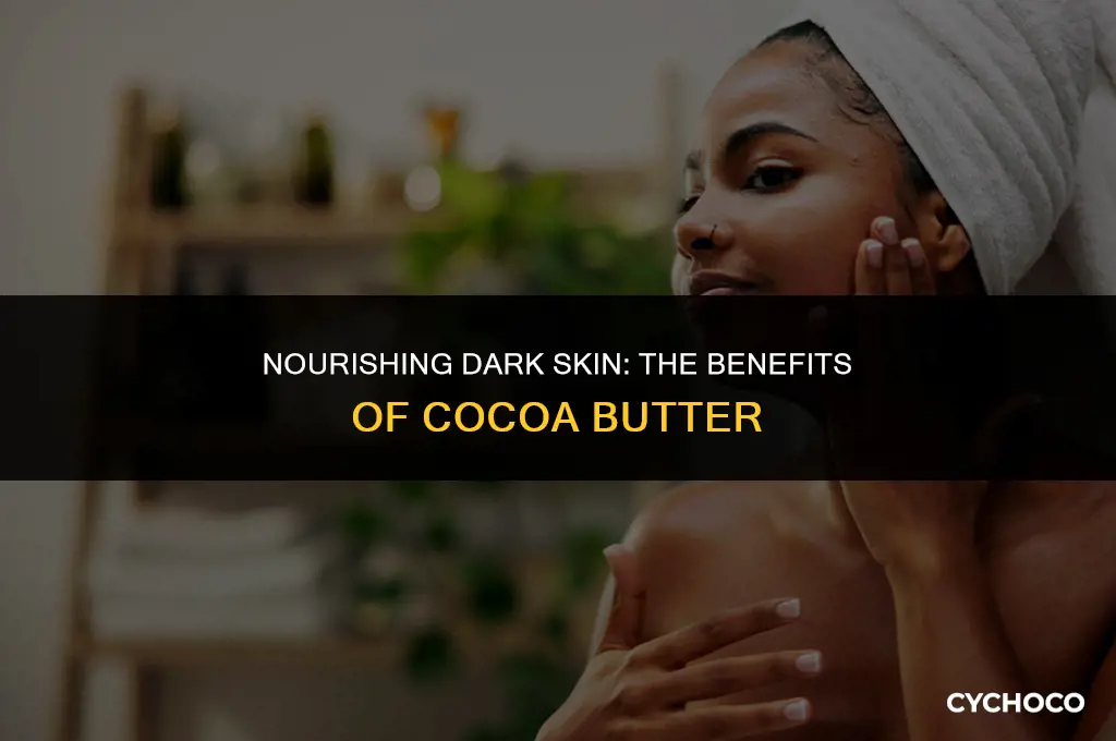 is cocoa butter good for dark skin