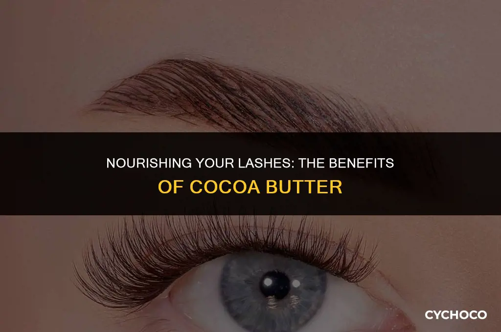 is cocoa butter good for lashes