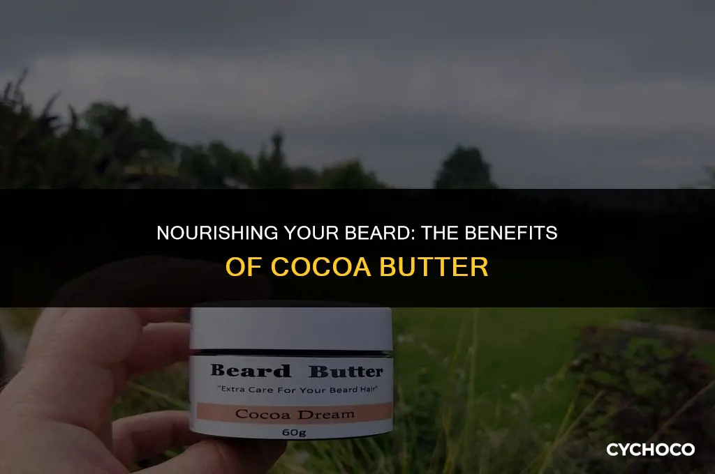 is cocoa butter good for my beard