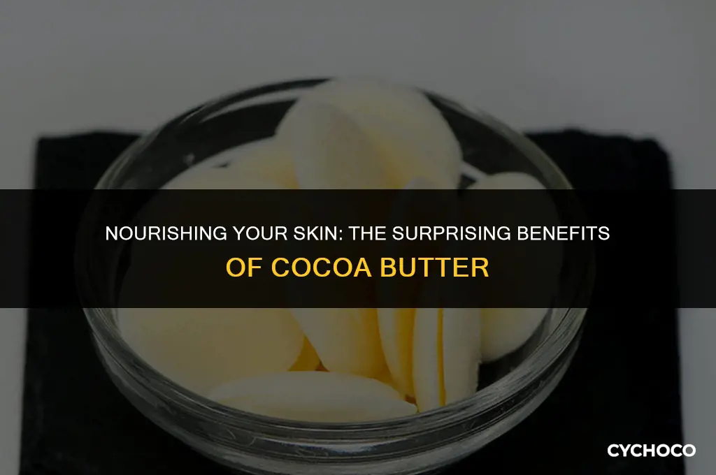 is cocoa butter good for my face