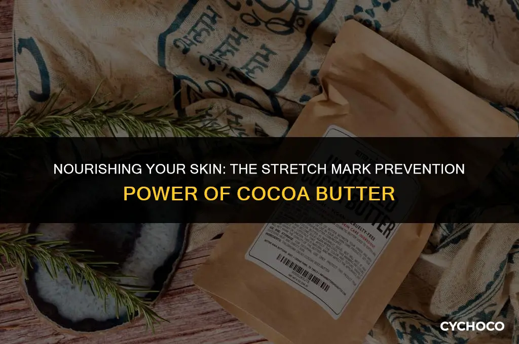 is cocoa butter good for preventing stretch marks