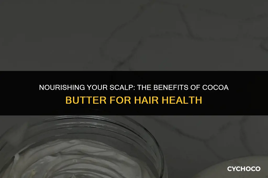 is cocoa butter good for scalp