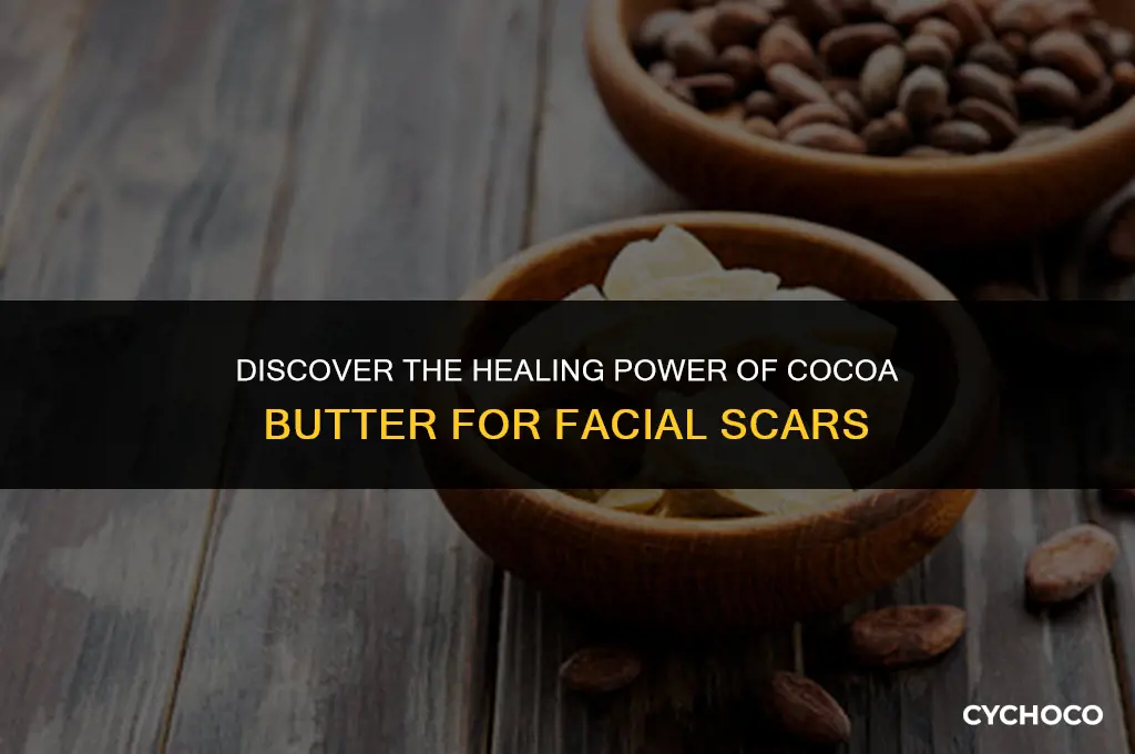 is cocoa butter good for scars on your face