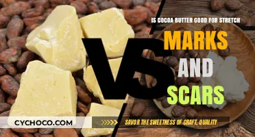 Nourishing Skin Repair: Cocoa Butter's Benefits for Stretch Marks and Scars
