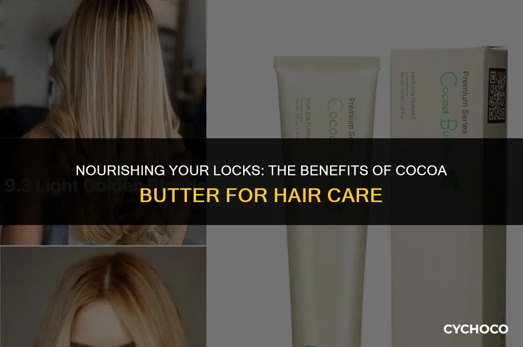 is cocoa butter good for the hair