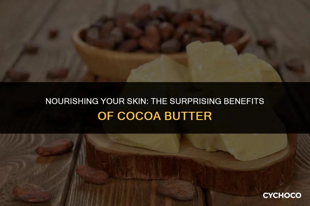 is cocoa butter good for the skin