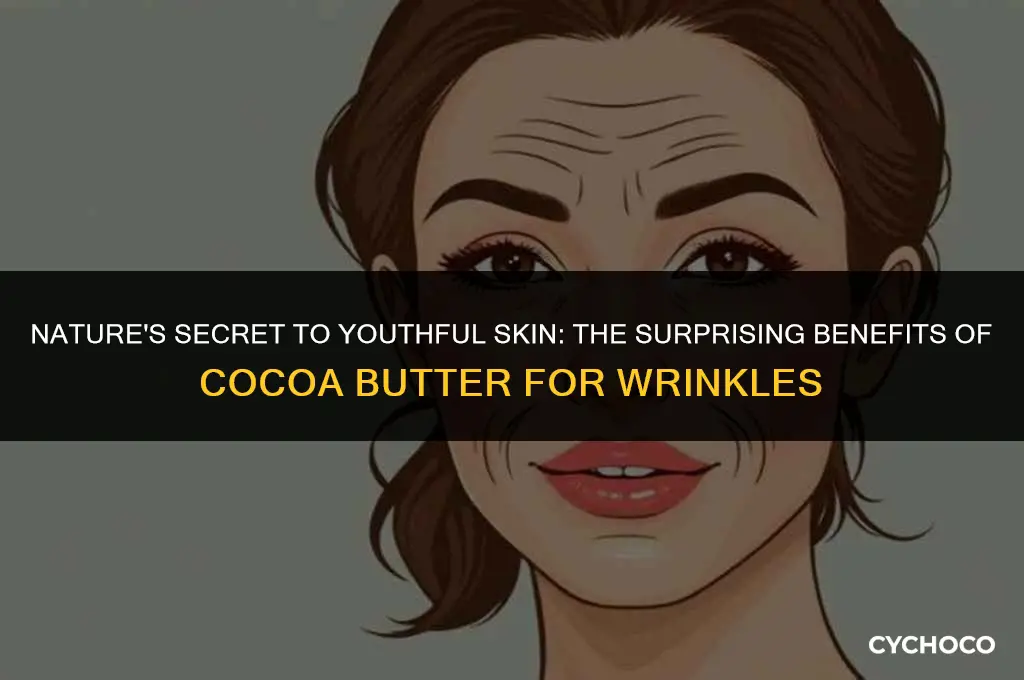 is cocoa butter good for wrinkles