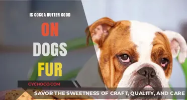 Nourishing Your Pup's Coat: The Benefits of Cocoa Butter for Dog Fur