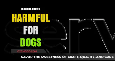 Cocoa Butter for Canines: A Harmful Treat or Safe Indulgence?