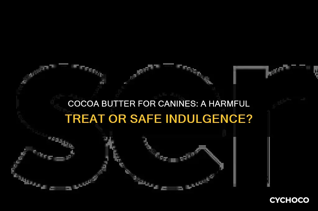 is cocoa butter harmful for dogs