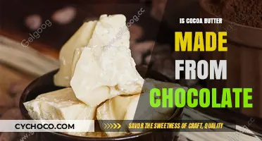 Is Cocoa Butter Made from Chocolate? Unraveling the Sweet Truth