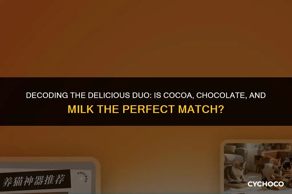is cocoa chocolate and milk