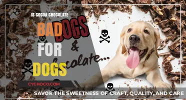 The Bitter Truth: Is Cocoa Chocolate Toxic to Dogs?