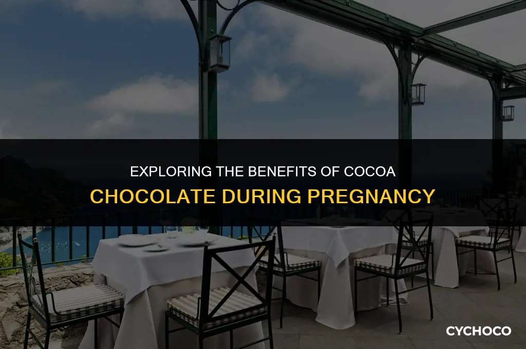 is cocoa chocolate good for pregnant