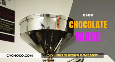Is Cocoa Chocolate Made? Unraveling the Sweet Connection