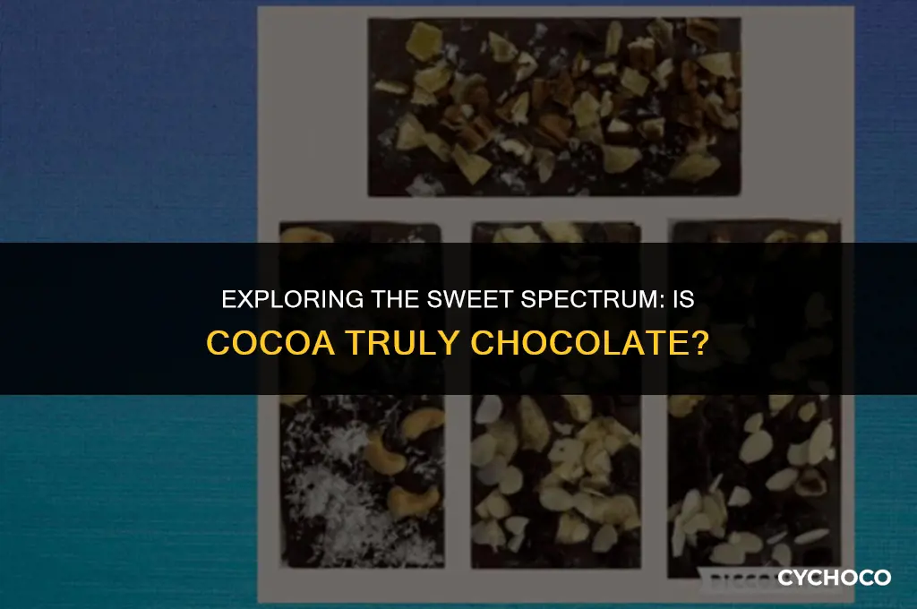 is cocoa considered chocolate