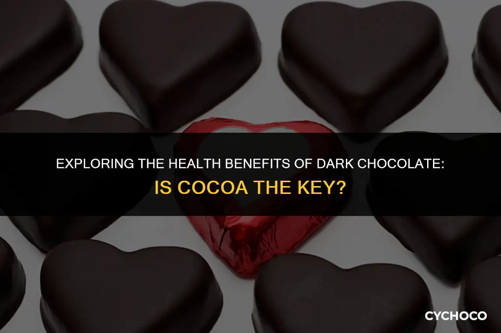is cocoa dark chocolate good for you