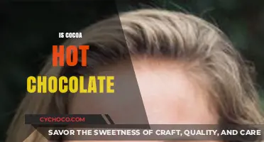 Exploring the Rich History and Recipes of Cocoa and Hot Chocolate