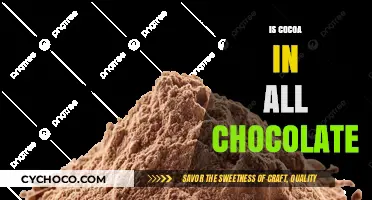 Decoding Chocolate: The Essential Role of Cocoa in Every Bite