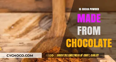 Is Cocoa Powder Made from Chocolate? Unraveling the Sweet Mystery