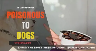 Cocoa Powder Poisoning in Dogs: A Comprehensive Guide for Pet Owners