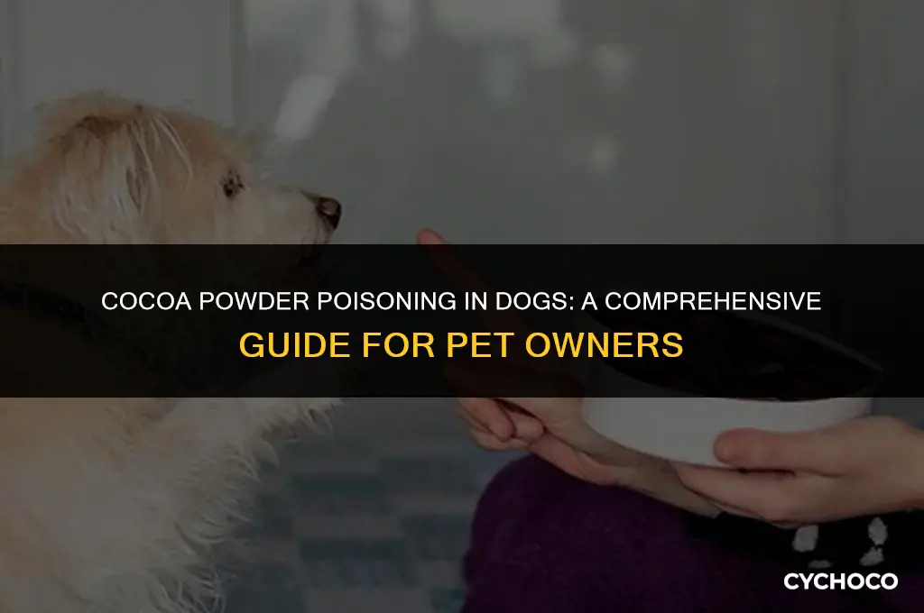 is cocoa powder poisonous to dogs