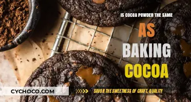 Unveiling the Mystery: Cocoa Powder vs Baking Cocoa Explained