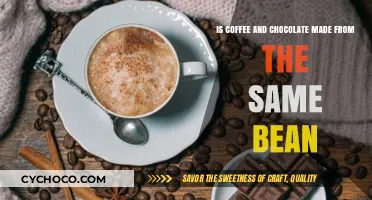Coffee vs. Chocolate: Unraveling the Myth of the Shared Bean