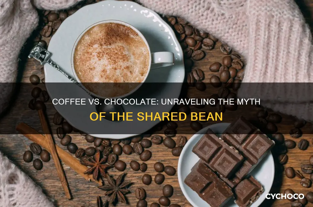 is coffee and chocolate made from the same bean